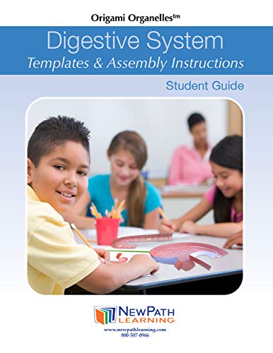 NewPath Learning Digestive System 3-D Paper Model Making Kit, Set/5 Full-Color, Paper Model Templates & Teacher Guide (24-7771)