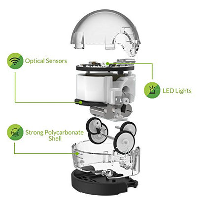 Ozobot Evo Starter Kit for Kids Grades K-12 | STEM Coding Robot