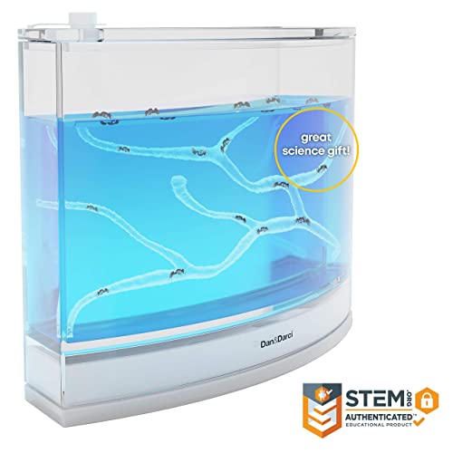 Dan&Darci Light-up Ant Farm Terrarium Kit for Kids – LED Habitat for Live Ants with Nutrient Rich Gel - Watch Them Dig Their Own Tunnels - Learning Science Toys, Experiment Gift for Boys & Girls