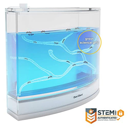Dan&Darci Light-up Ant Farm Terrarium Kit for Kids – LED Habitat for Live Ants with Nutrient Rich Gel - Watch Them Dig Their Own Tunnels - Learning Science Toys, Experiment Gift for Boys & Girls