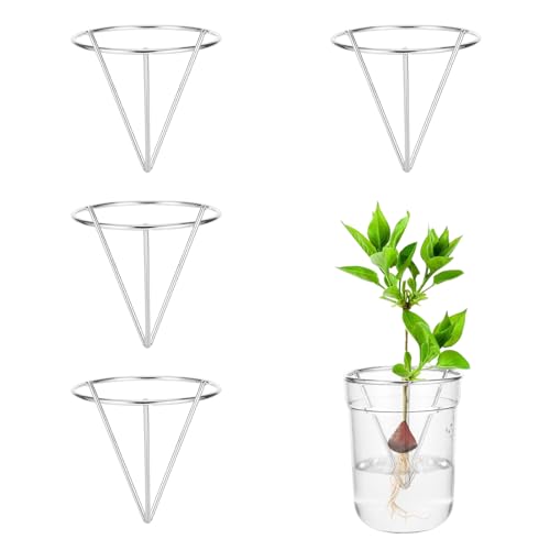 4 Pcs Avocado Seed Starter Rack for Mason Jar of Wide-Mouth - color: Silver