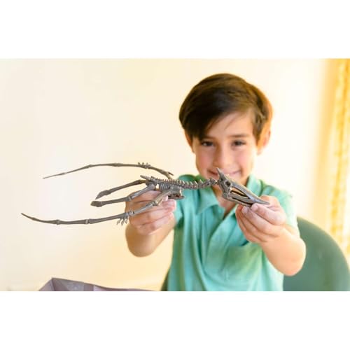 4M Dig a Pteranodon Skeleton Kit for Kids Ages 8-12 – Flying Reptile Fossil Excavation Set with 15 Realistic Bones, STEM Paleontologist Digging Kit with Hammer, Chisel & Brush, Educational Gift