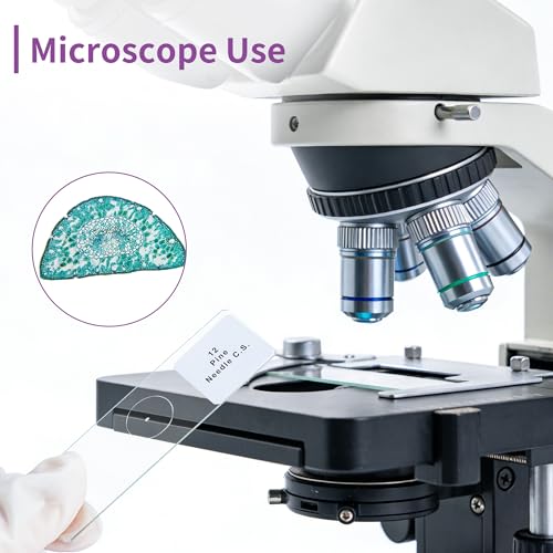 100PCS Microscope Slides with Specimens with Wooden Box, LVQ092 - color: Slides 100PCS