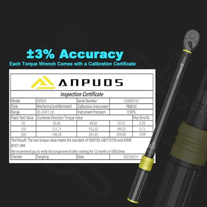 ANPUDS 1/2-Inch Drive Click Torque Wrench, 30-250 Ft-Lb / 40.7-339 Nm - size: 30-250 ft-lb / 40.7-339 Nm