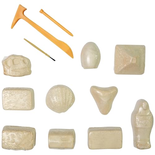 Fossil Adventures 10-in-1 Treasure Excavation Kit