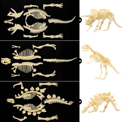 NUOLUX 3Pcs 4D Dinosaur Fossil Skeleton Toys DIY for Kids Fossil Skeleton Figure