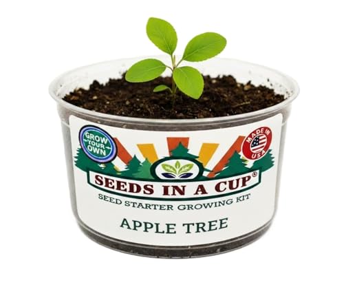 Seeds In A Cup® | Apple Seed Starter Grow Kit | Grow A Real Apple Tree Indoors or Outdoors | Easy DIY Gardening Gift | Mini Greenhouse Planter with Premium Soil & Apple Seeds