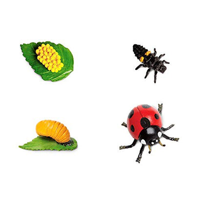 Safari Ltd. Life Cycle of a Ladybug - Educational Toy Figurines - Miniature Beetle Lifecycle Collection for Boys, Girls & Kids Age 4+ - color: Multicolor