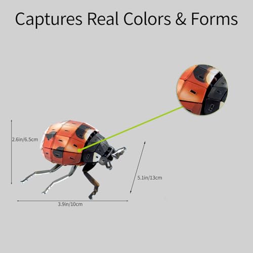 3D Acrylic Insect Puzzle DIY Bug Model Kit Animal STEM Gift - color: Ladybug