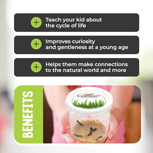 10 Live Caterpillars for Butterfly Kits, Refill with Food, Rearing Supplies - style: 10 Live Caterpillars + Supplies