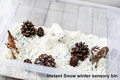 Science Gone Fun Instant Snow Powder - 20 Individual Packs, Makes 40+ Cups of Artificial Snow, Add Water to Create Fluffy Sensory Fake Snow, Ideal for Slime, Holiday Displays, and Science Experiments