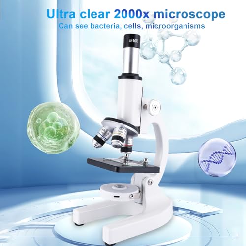 Microscope for Kids & Adults,40X-2000X Magnification Microscope for Kids 8-12, with LED Fill Light & Phone Holder, Great for School Labs and Home Schooling - color: White-2