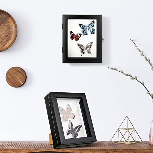 3 Pcs Insect Display Case Wall Mount Clear Bug Display Case Collection Box with Anti Fade UV Protection Top Eva Foam Pin 300 Pcs and 3 Sizes Pins Insect Shadow Box for Butterfly Specimen