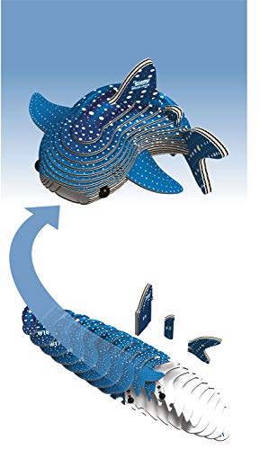 EUGY 3D Whale Shark Model - style: Whale Shark