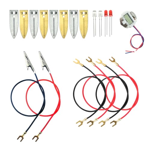 EUDAX Fruit Battery Science Experiment Kit with Electronic Clock and RGB LED for DIY Home Teaching Equipment, School Science Project, Education Subject - size: Small