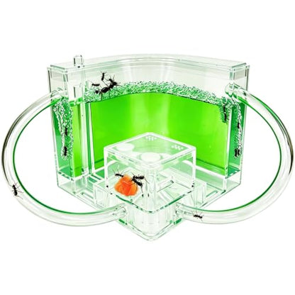EXBEPE Ant Farm for Kids Safety and Environment Gel Ant Colony Ecosystem Terrarium, Ant Habitat Science Learning Kit(with No Ant)… - color: Green