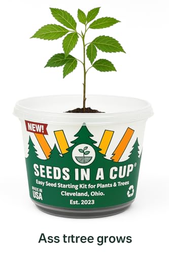 Seeds In A Cup- Pecan Tree Grow Kit – Tree Seed Starter for Kids & Adults | Indoor & Outdoor Planting | Easy Grow Your Own Tree Kit with Seed Growth Promise