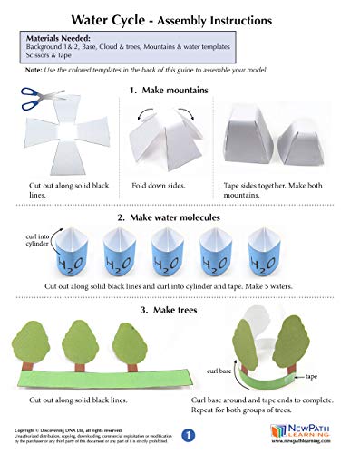 NewPath Learning Water Cycle 3-D Paper Model Making Kit, Set/5 Full-Color, Paper Model Templates & Teacher Guide (24-7817)