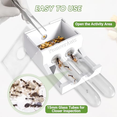 Transparent Mini Ant Farm with Dual Test Tubes for Thriving Ant Colony Observation - color: white