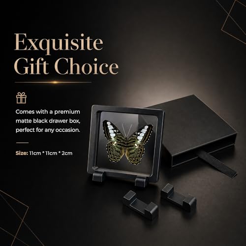 1pc Real Butterfly Specimen PE Film Suspension Box Elegant Black Frame Keepsake for Nature Lovers Scientific Specimen Display (Parthenos Sylvia Butterfly) - color: Parthenos Sylvia Butterfly