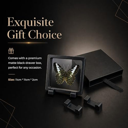 1pc Real Butterfly Specimen PE Film Suspension Box Elegant Black Frame Keepsake for Nature Lovers Scientific Specimen Display (Parthenos Sylvia Butterfly) - color: Parthenos Sylvia Butterfly