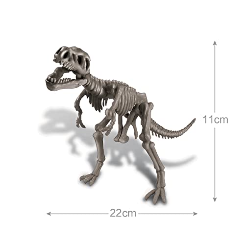 4M | STEAM Dinosaur World Exploration| Hands-On Science Kit with Dinosaur Figures & Fossil Experiments for Kids Ages 5+ - Educational Paleontology Toy Gift - style: Dinosaur World