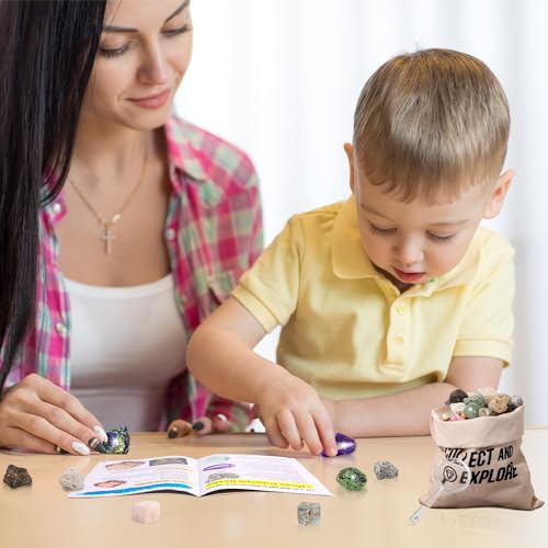 EDUMAN Rock Collection for Kids, 12 Specimens Box + 700g Real Crystals & Minerals STEM Gemstone Kit for Kids with Rock Identifier & Magnifier, Educational Geology Gift for Boys Girls Ages 6-12