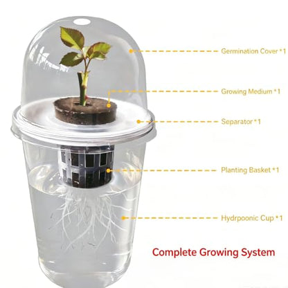 6 Pack Clear Hydroponic Nursery Pots with Humidity Dome for Seed Starting - color: Transparent-6 Pack