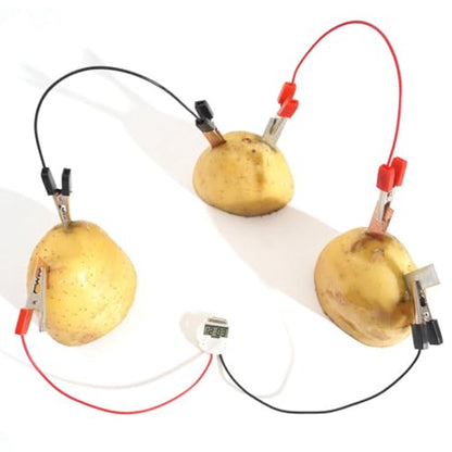 Bio Energy Science Kit, Potato Lemon Battery Experiment Set for Kids, with Digital Clock and Light Bulb, Green Energy Learning Project with Zinc Copper Plates Wires