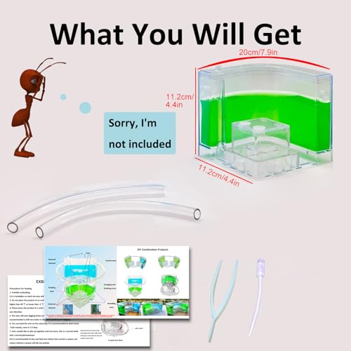 EXBEPE Ant Farm for Kids Safety and Environment Gel Ant Colony Ecosystem Terrarium, Ant Habitat Science Learning Kit(with No Ant)… - color: Green
