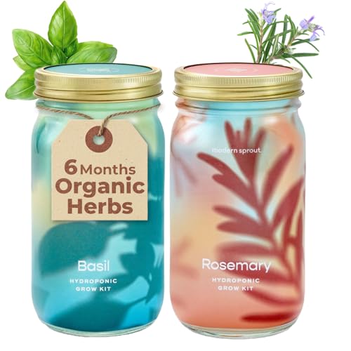 Modern Sprout Mason Garden Jar-Self-Watering Hydroponics Kit-Basil+Rosemary - color: Basil+rosemary, size: Garden Jars