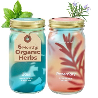 Modern Sprout Mason Garden Jar-Self-Watering Hydroponics Kit-Basil+Rosemary - color: Basil+rosemary, size: Garden Jars
