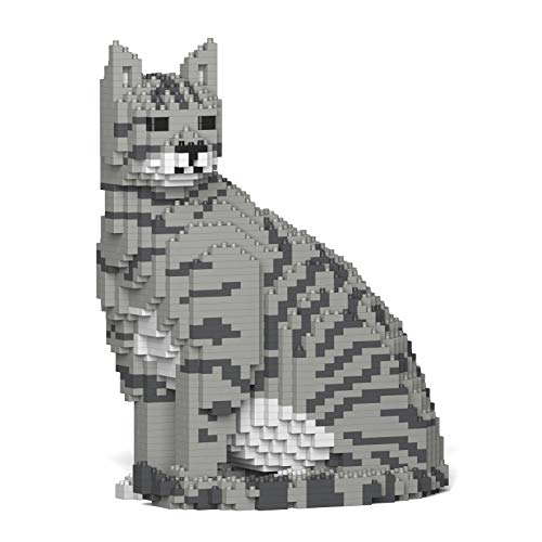 Cat 02S-M03 - color: Light Grey Tabby