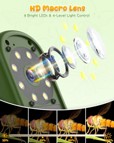 Bug Catcher for Kids,Kids Microscope,3-in-1 Insect Catching Kit for Kid - color: Dark green