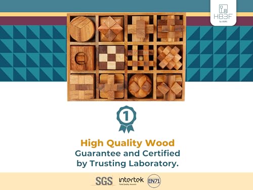 BSIRI 12 in 1 3D Wood Puzzle Box Set - Wooden Brain Teaser Puzzles for Adults Interlocking Toys Games for IQ and Mind Ideal for Patio Decor Desk Office and Unique Gift Hand Game (12 Games) - style: 12 Puzzle Set