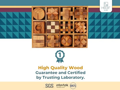 BSIRI 12 in 1 3D Wood Puzzle Box Set - Wooden Brain Teaser Puzzles for Adults Interlocking Toys Games for IQ and Mind Ideal for Patio Decor Desk Office and Unique Gift Hand Game (12 Games) - style: 12 Puzzle Set