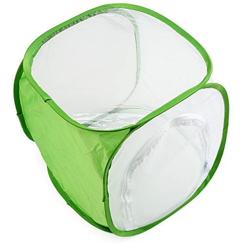 Insect and Butterfly Habitat Cage Terrarium Pop-up 12 X 12 X 12 Inches, Polyester Bottom for Easier Clean - size: 12 x 12 x 12 inches