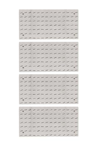 Eisco Labs Magnetic Field Demonstrator - Set of 4 Plates