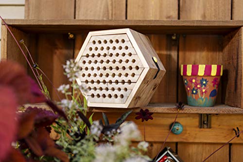 Toysmith Beetle & Bee Solitary Habitat Kit, Wooden Outdoor Science Toy - style: Solitary Bee Habitat