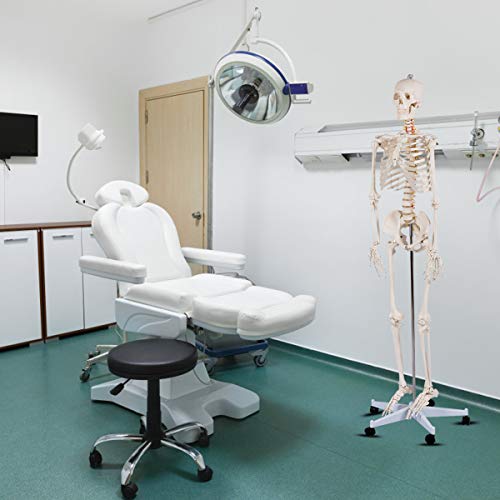GIANTEX 70.8" Life Size Skeleton Model, with Roller Stand, 2 Casters with Brake, Removable Parts, Anatomical Poster and Dust Cover, Human Skeleton Model for Anatomy