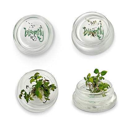 Terra Gel Seed Germination Tray with Glass Dome – Advanced Technology Gardening Supplies Plant Propagation Station Form Seeds – Easy to Use Seed Starter Kit