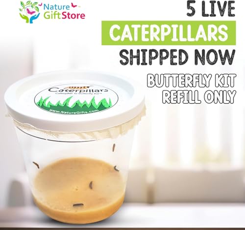 5 Live Caterpillars for Butterfly Kits, Refill with Food, Rearing Supplies - style: 1 Pack + Supplies