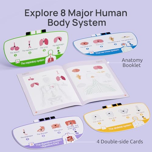 Science Can Human Body Model for Kids, Interactive Anatomy Learning Toys