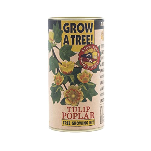 Tulip Poplar | Tree Seed Grow Kit | The Jonsteen Company