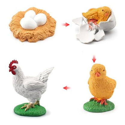 Montessori Life Cycle Animal Figures with Flash Cards, Lifelike Animal Growth Cycle Biological Model Set (Rooster) - style: Rooster