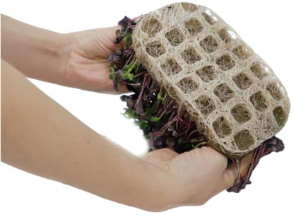 Microgreens Growing Trays Bundle, Growing Lamp, 3 Silicone Trays & 18 Jute Mats, Microgreens Growing Kit Refill, Seed Sprouting & Indoor Grow Accessories (No Seeds)
