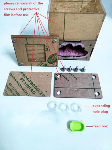 Ant Nest & House - Study Ant Behavior, Small Size