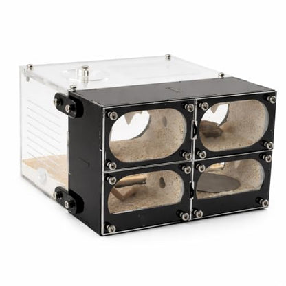 Strata Series - QuadCave Ant Nest with Starter kit - size: QuadCave
