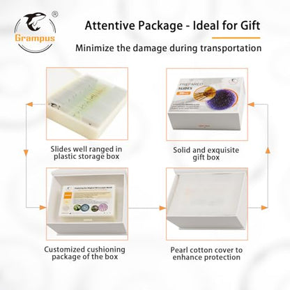 30 Prepared Microscope Slides with Specimens for Kids Students - Animals Plants Insects Microorganism, for Biological Science Lab, Children's Science Education, Homeschool - style: 30PCS Mixed