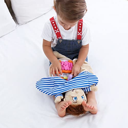 Vocheer Human Body Anatomy Toy, Montessori Preschool Educational Plush - color: Blue